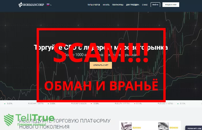 Bormancorp — отзывы