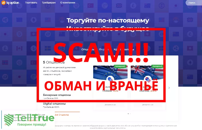 IQ option — отзывы