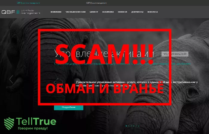 QB finance — отзывы и управление активами