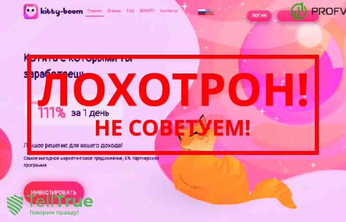 Kitty Boom — отзывы о компании