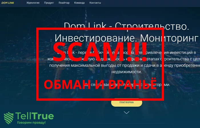 Dom Link — отзывы о проекте