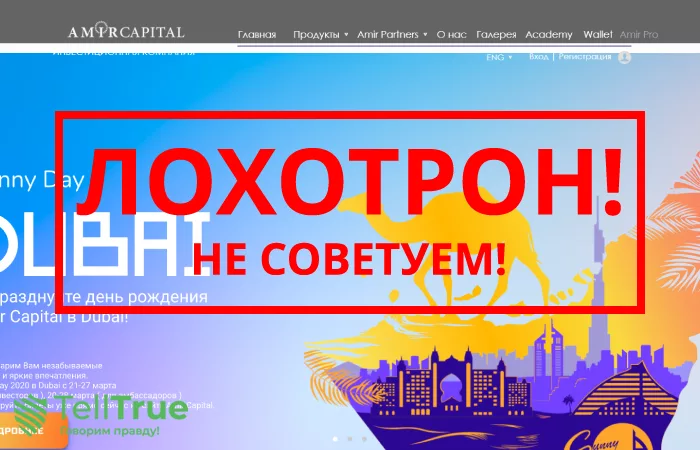 Amir Capital — отзывы и развод