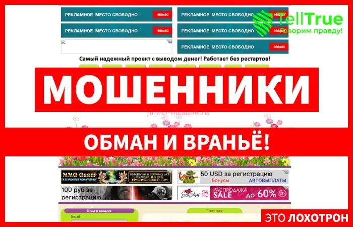 Flower Meadow — отзывы