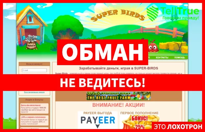 Super Birds — отзывы