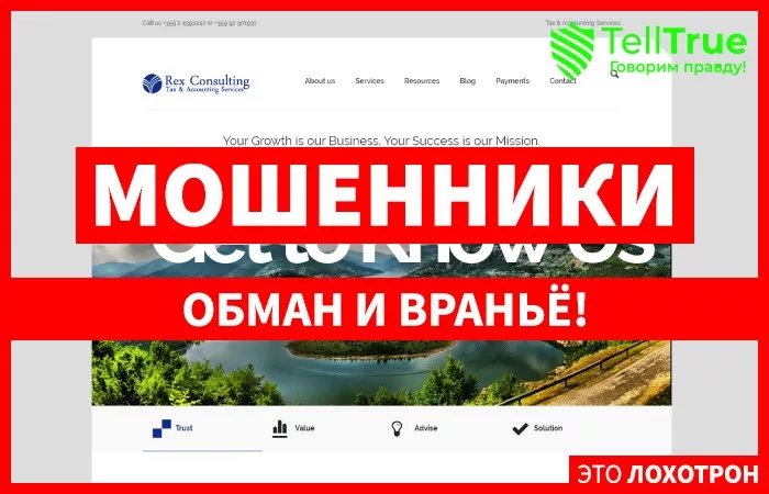 Rex Consulting — отзывы