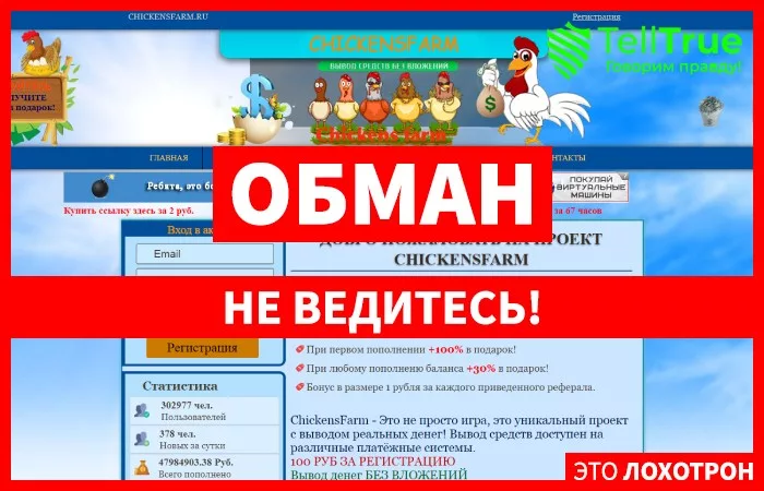 Chickens Farm — отзывы