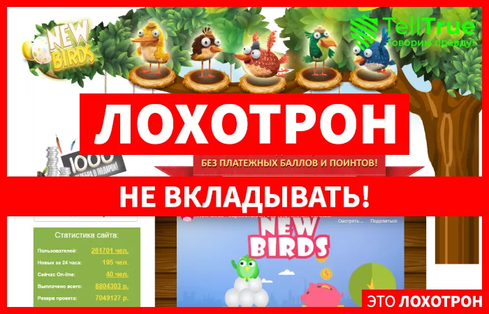 New Birds — отзывы