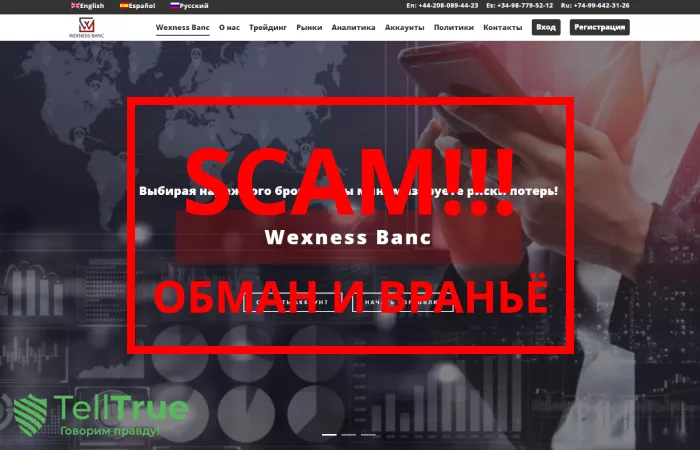 Wexness Banc — отзывы