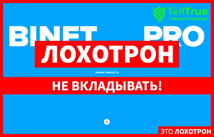 Binet Content — отзывы