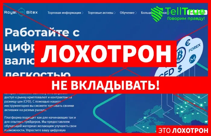Royal Bitex — отзывы