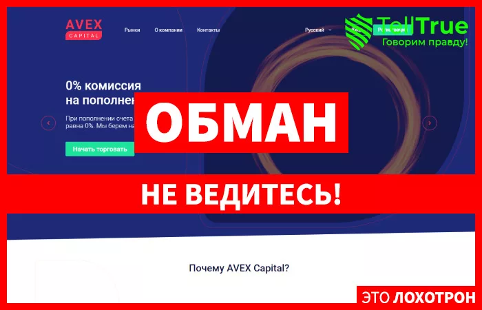 AvexCapital — отзывы