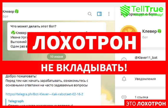 Клевер — отзывы