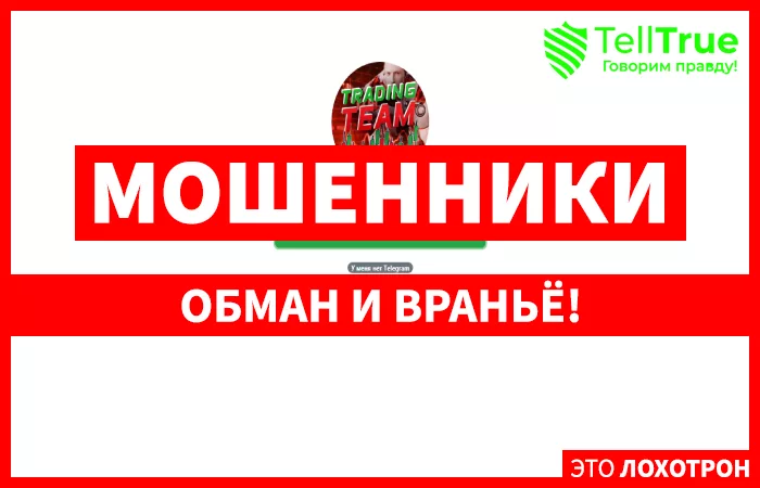 Trade-Team — отзывы