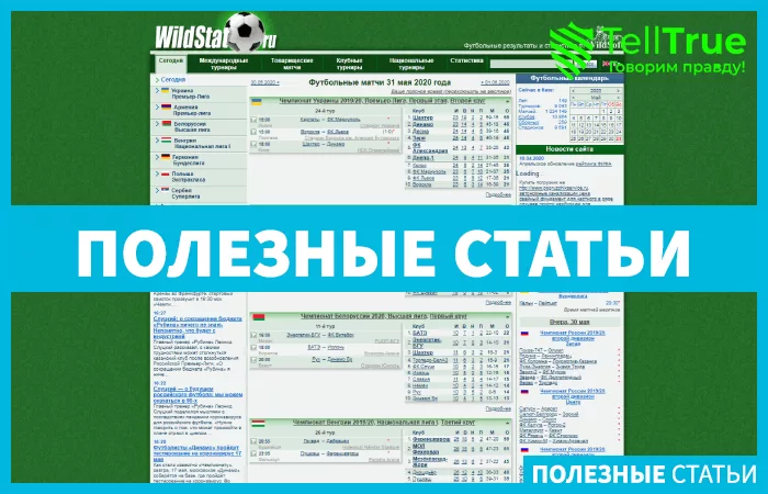Wildstat — отзывы и обзор
