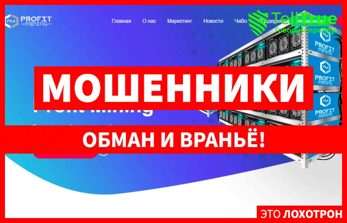 Profit Mining — отзывы