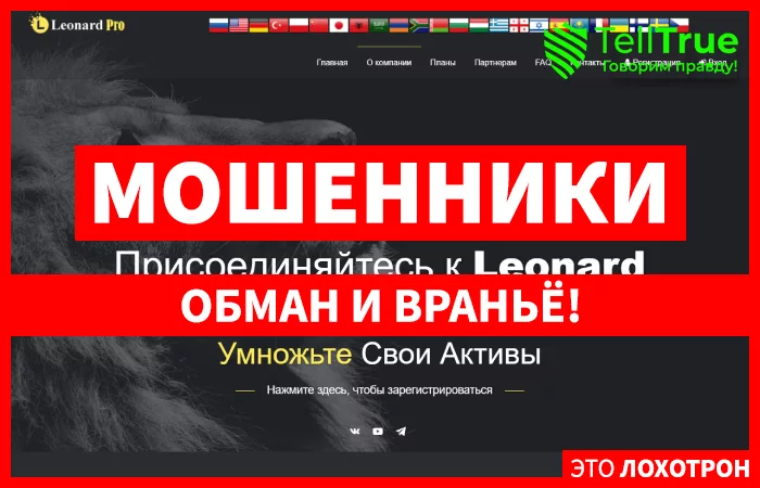 Leonard Pro — отзывы