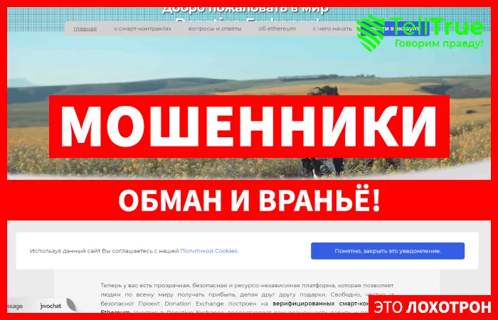 Donation Exchange — отзывы