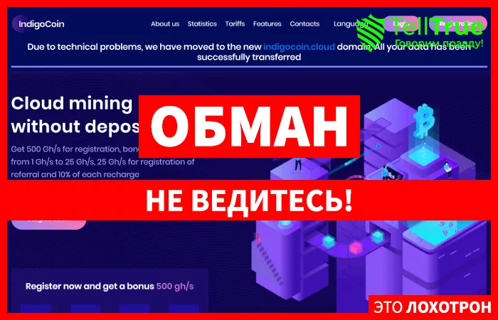 Indigo Coin — отзывы