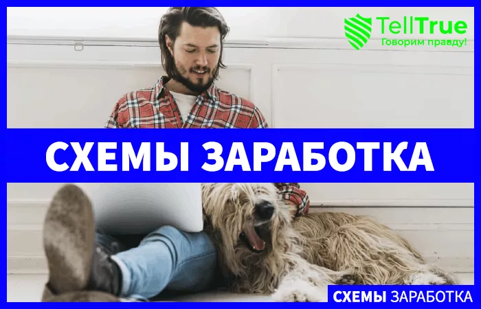 Как заработать с помощью домашнего животного?