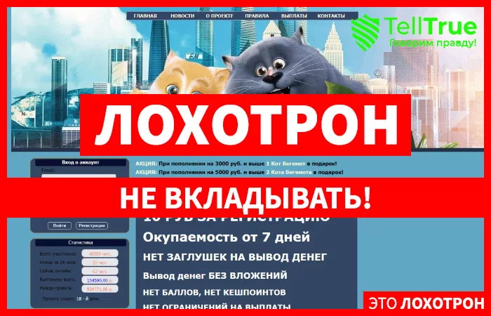 Catsgame — отзывы