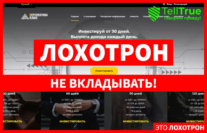 Перспектива Плюс — отзывы
