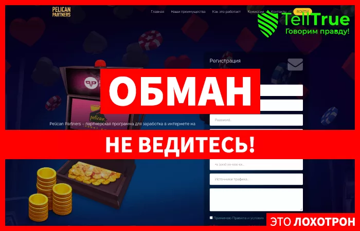 Pelican Partners — отзывы