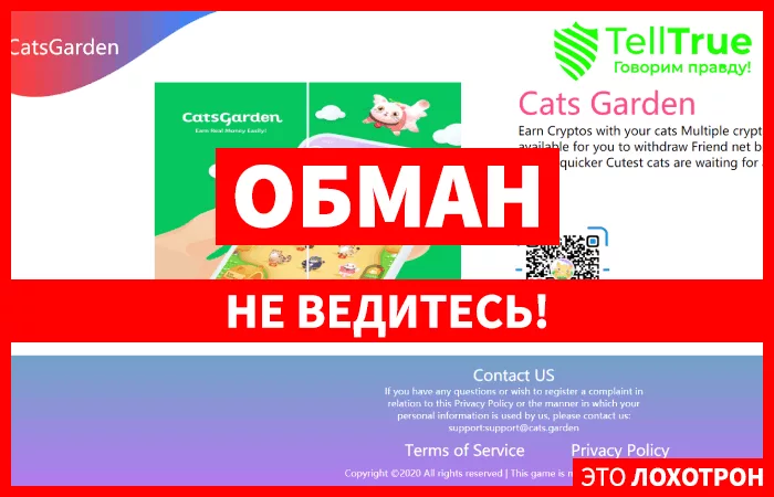 Cats Garden — отзывы