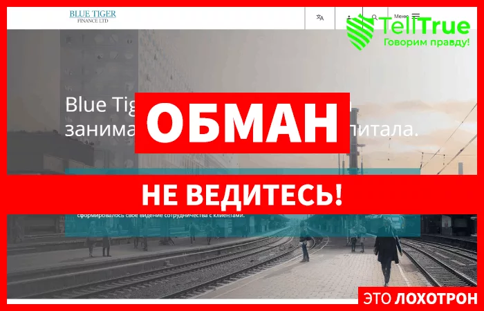 Blue Tiger Finance — отзывы