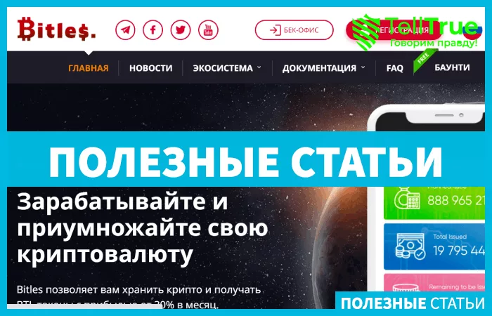 Bitles — отзывы и обзор