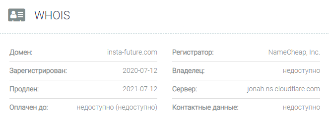 Информация о домене Insta Future