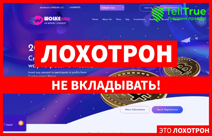 Wolkemining — отзывы