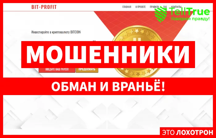 BIT-PROFIT — отзывы