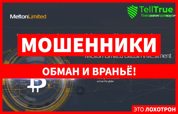 Melton Limited — отзывы