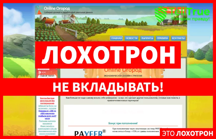 Online Ogorod — отзывы