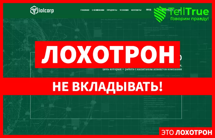 IOLCorp — отзывы