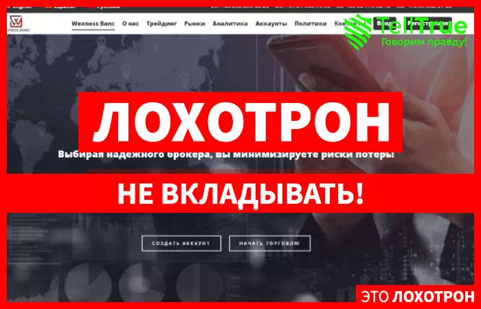 WexnessBanc - изображения записи