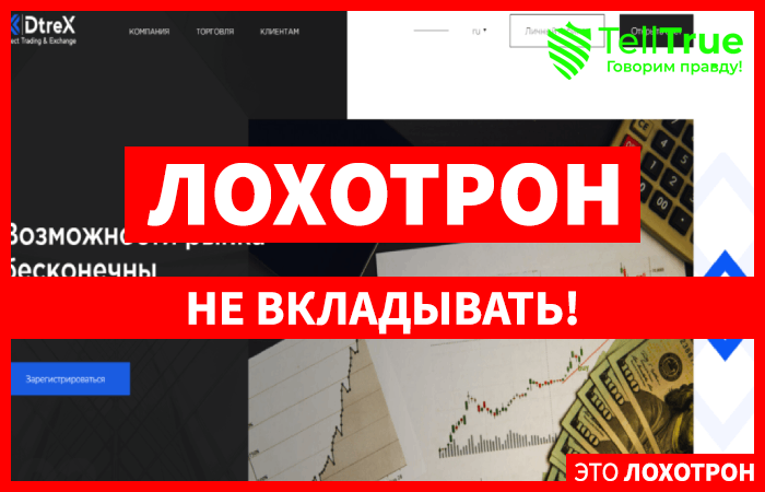 DtreX – отзывы