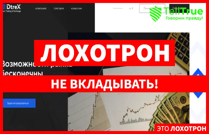 DtreX – отзывы
