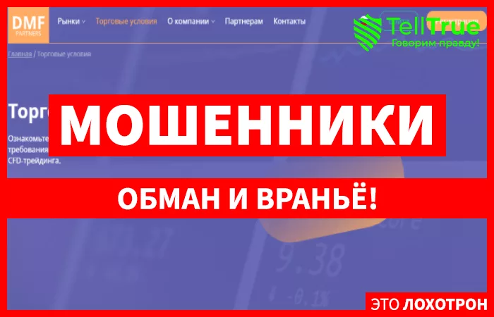 DMF Partners - изображения записи