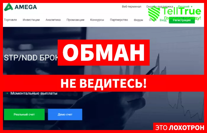AMEGA- изображения записи
