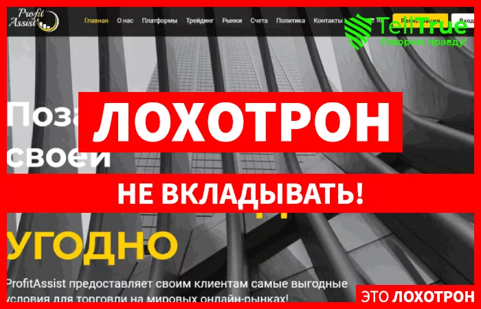 Profit Assist – еще один мошенник шаблонного формата