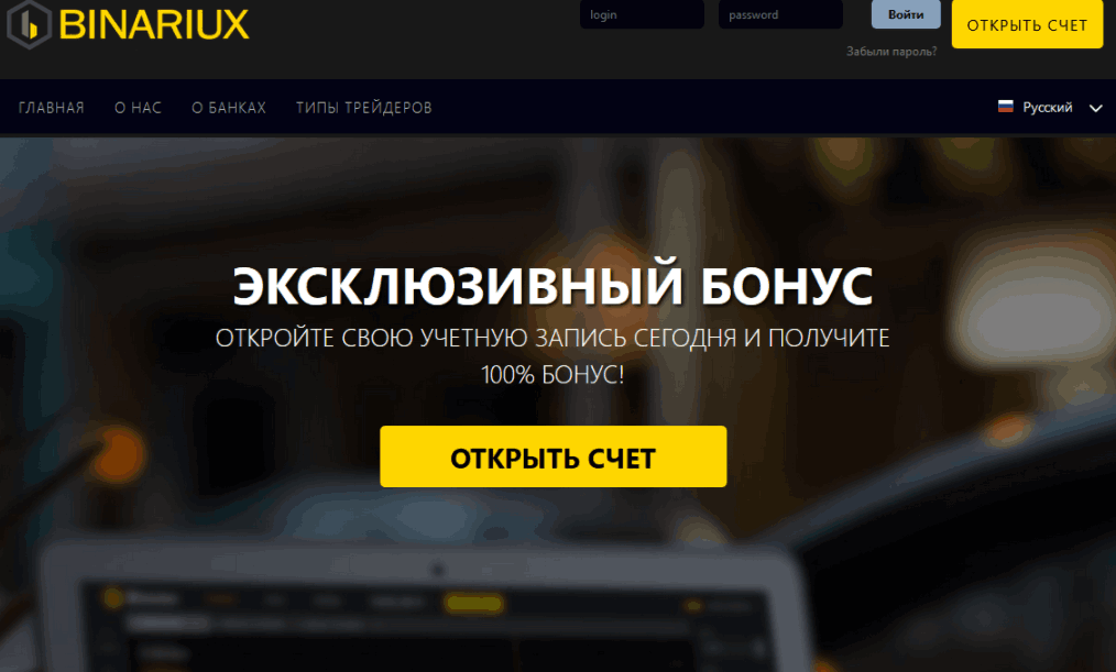 Binariux - сайт компании