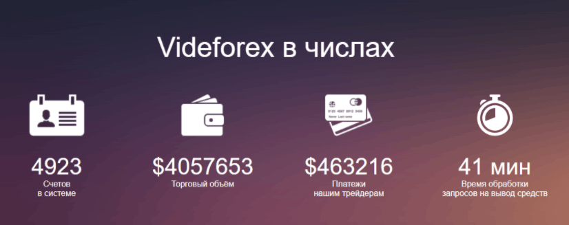 Videforex.com - статистика