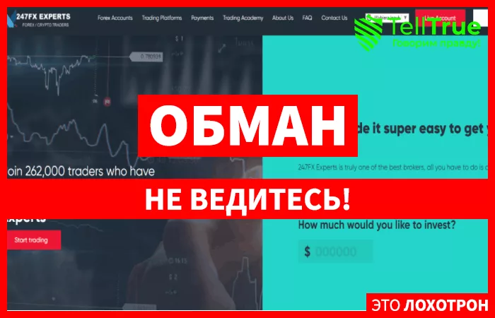 247FX Experts