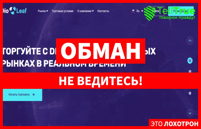 Dio Leaf - главная обзоры