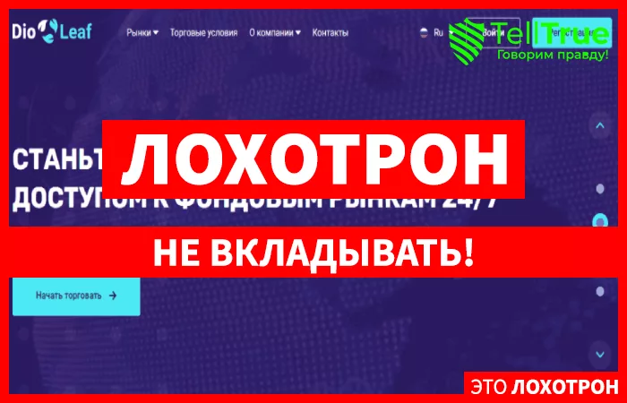 Dio Leaf – жулик фантазер, из категории клонированных мошеннических проектов