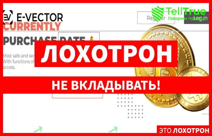 E-Vector главная