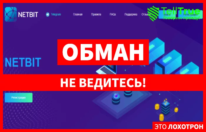 Netbit – обычный хайп, не заслуживающий и капли внимания