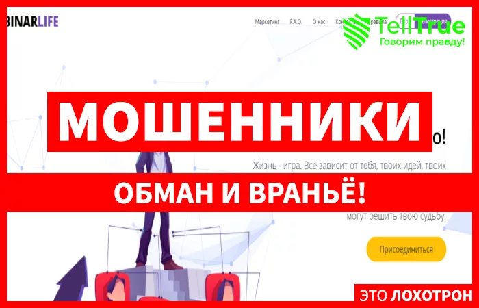 Binar Life главная