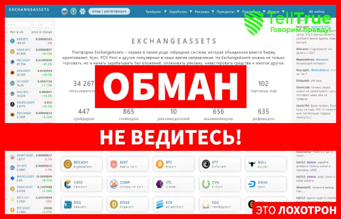 Exchange Assets главная